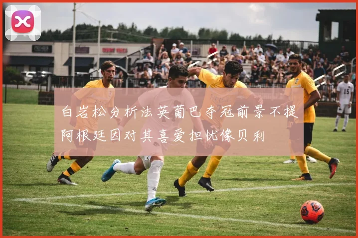 白岩松分析法英葡巴夺冠前景不提阿根廷因对其喜爱担忧像贝利
